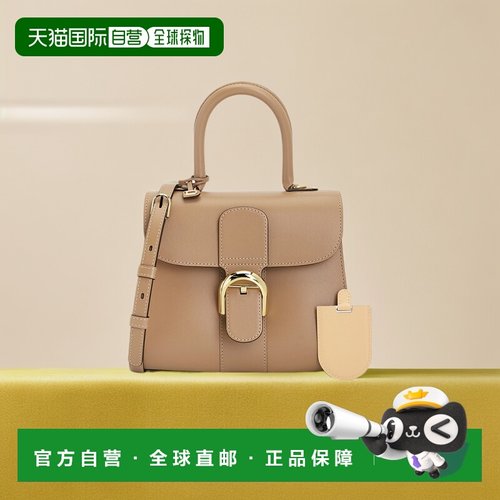 1h可退 韩国直邮DELVAUX AA0569AAM024FDO 女士 手提包牛皮