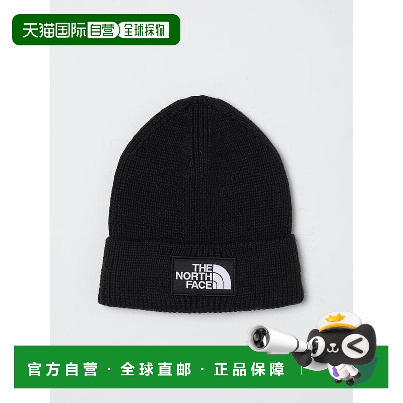 韩国直邮THE NORTH FACE The North Face 男士帽子 NF0A8CHE TP63