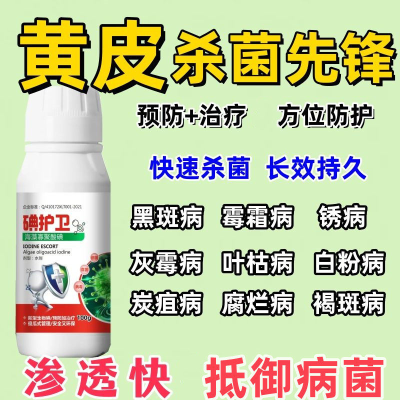 黄皮杀菌剂黄叶枯叶病炭蛆病褐斑病白斑病白粉病黄皮病害防治药
