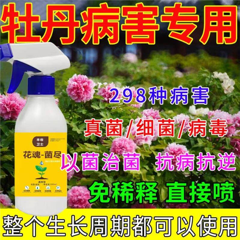 牡丹芍药黄叶黑斑病白粉叶斑病病害清落叶掉花苞玫瑰花卉用杀菌剂