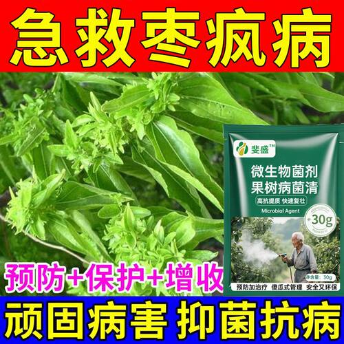 枣树枣疯病专用枣树病通用小叶病丛枝扫帚病防落叶缩果叶卷杀菌剂