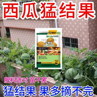 西瓜营养液促花促果防黄叶促发芽专用肥家用生长期挂果增甜水溶肥