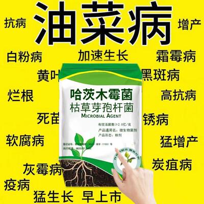 油菜专用药油菜白杆烂杆菌核病霜霉病根肿病白粉灰霉病油菜杀菌剂