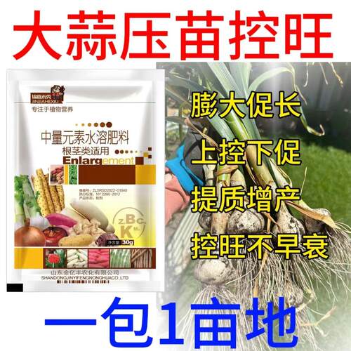 大蒜专用控旺药蒜头控制旺长徒长疯长促苔膨大控秧增产抗倒矮壮剂
