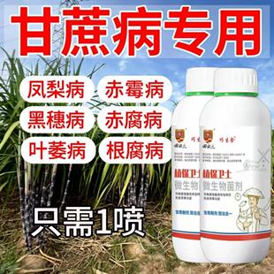 甘蔗黑穗病凤梨赤腐梢腐虎斑心腐根腐褐斑锈病甘蔗强效杀菌剂