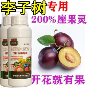 李子座果灵李子强力授粉保花保果防落果防裂李子坐果灵李子授粉药
