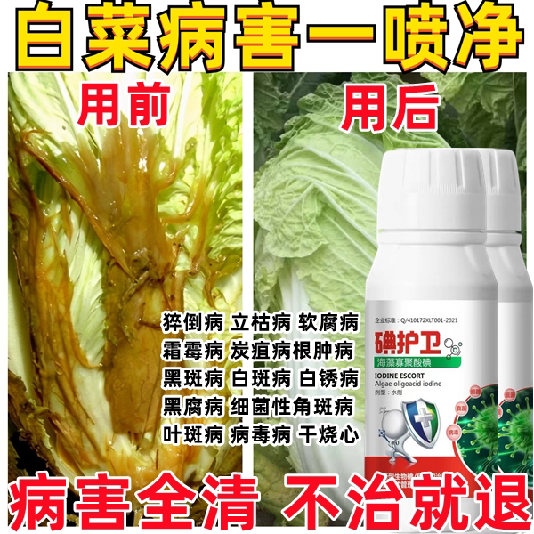 大白菜烂心药病害专用药病全治白菜杀菌药白菜腐烂炭通用型疽病药