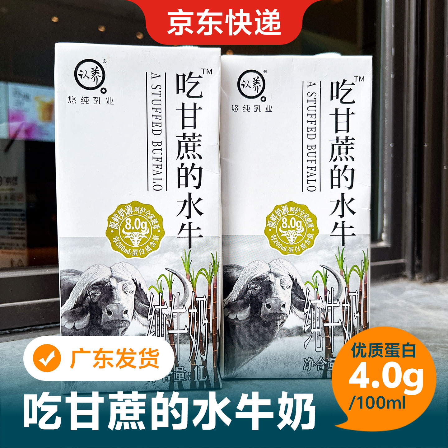 悠纯吃甘蔗水牛奶纯奶1L整箱高蛋白水牛奶咖啡厚牛奶奶茶咖啡商用