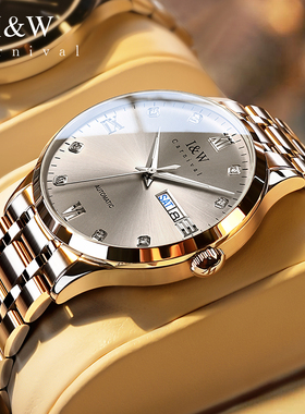 瑞士iw爱沃驰简约男士手表机械表全自动进口机芯精钢夜光品牌腕表