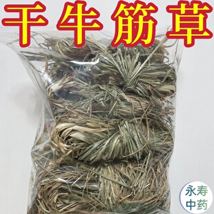 干牛筋草 整株带根 全株中药材牛栏草牛耕草千千踏牛顿草 蟋蟀草