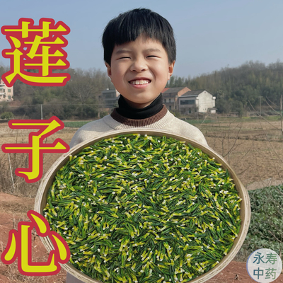 新货莲子心 干莲心农家自产手工整颗无熏琉正品莲子芯干货