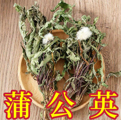 蒲公英带根干货 整株带根浦公英中药材 婆婆丁黄黄苗干品无硫