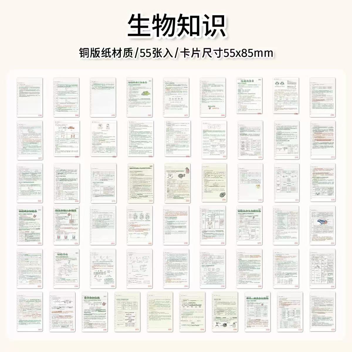 55张高清生物知识小卡明信片