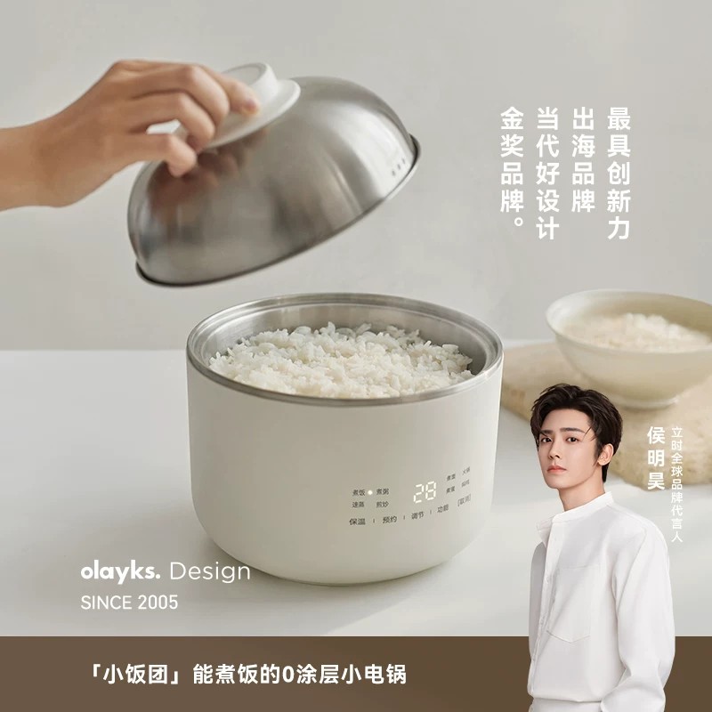 olayks不锈钢迷你电煮锅一人食