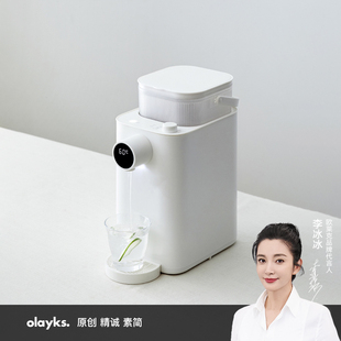 olayks即热式饮水机家用台式桌面速热直饮水器迷你小型净热水机