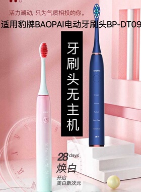 适用于豹牌BAOPAI电动牙刷头BP-DT09软毛成人替换头