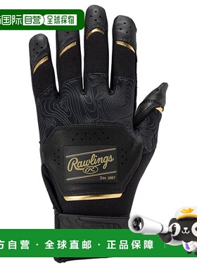 日本直邮Rawlings 双手用 Workhorse 击球手套 [无] 黑色