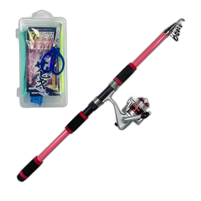 日本直邮上升道杆 PG Sabiki ING 套装 300