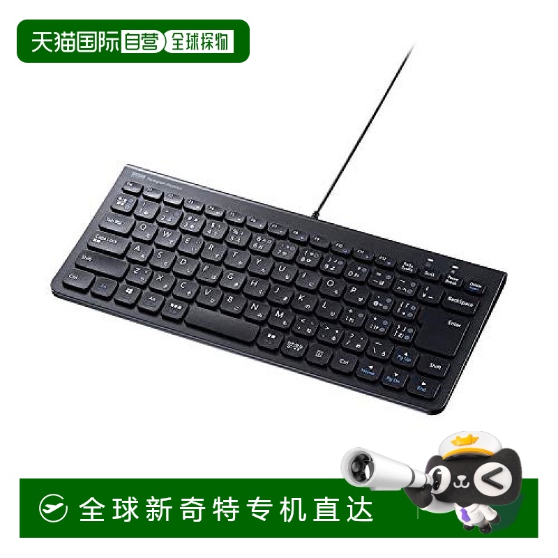 【日本直邮】三和供应 USB Type-C 薄键盘 SKB-SL32CBK