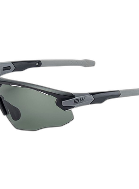 日本直邮Glenfield 偏光眼镜 BUNNY WALK BW-0261F 灰色/G-绿色