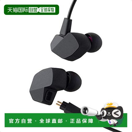 【日本直邮】Final普通有线耳机A3000 FI-A3DPLMB运河式耳机