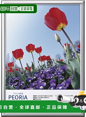 【日本直邮】HAKUBA 相框 铝框 Peoria A3 尺寸 银色 A3 1 面 铝