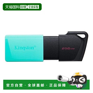 【日本直邮】Kingston金士顿 USB内存 256GB M DTXM/256GB