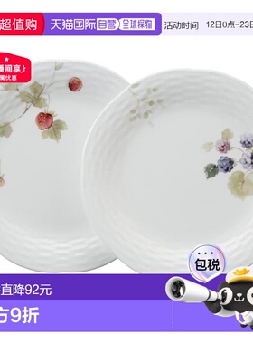 【日本直邮】Narumi鸣海 餐盘套装 20cm 2入 96011-23066P新款