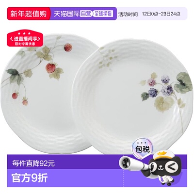 【日本直邮】Narumi鸣海 餐盘套装 20cm 2入 96011-23066P新款