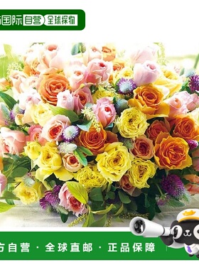 日本直邮【日本直邮】Beverly比巴利 拼图300片 (26×38㎝) 93-17