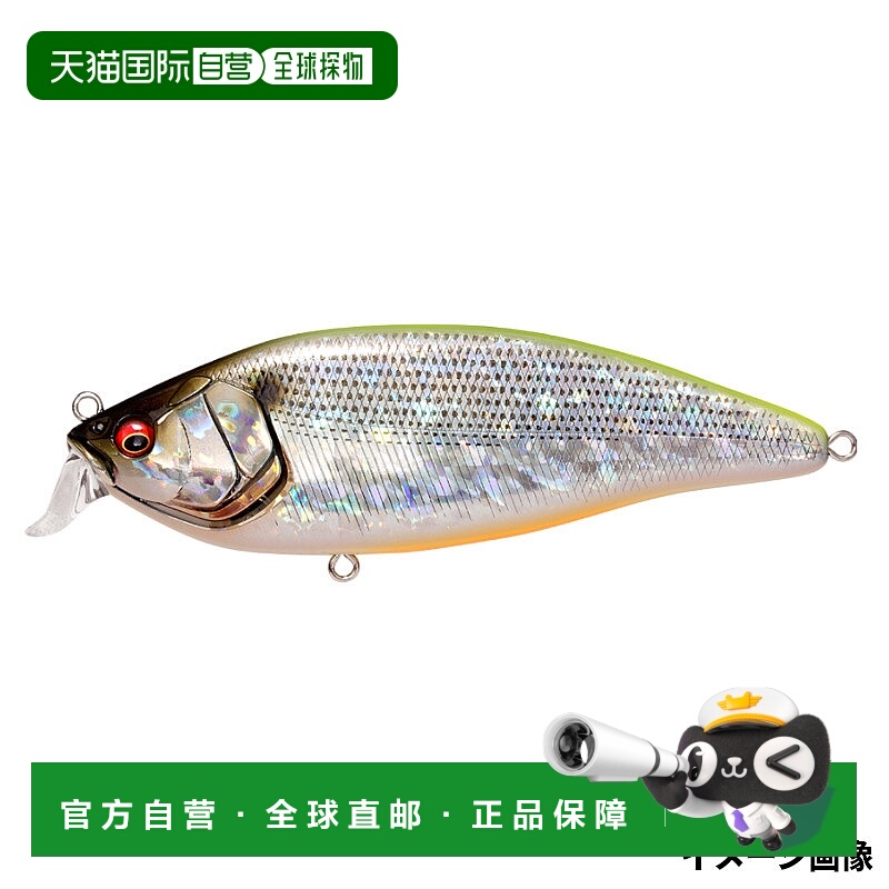 日本直邮Megabass Lure Konoshirus Shad F GG Chartback Konoshi