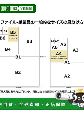 【日本直邮】EPSON爱普生 光泽照片纸A4100张 KA4100PSKR