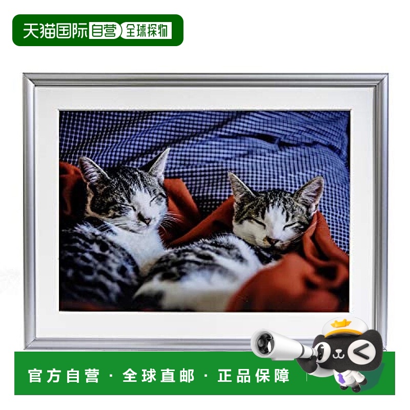 【日本直邮】Fujicolor富士胶片 铝框 A15 宽4开 306853 306853