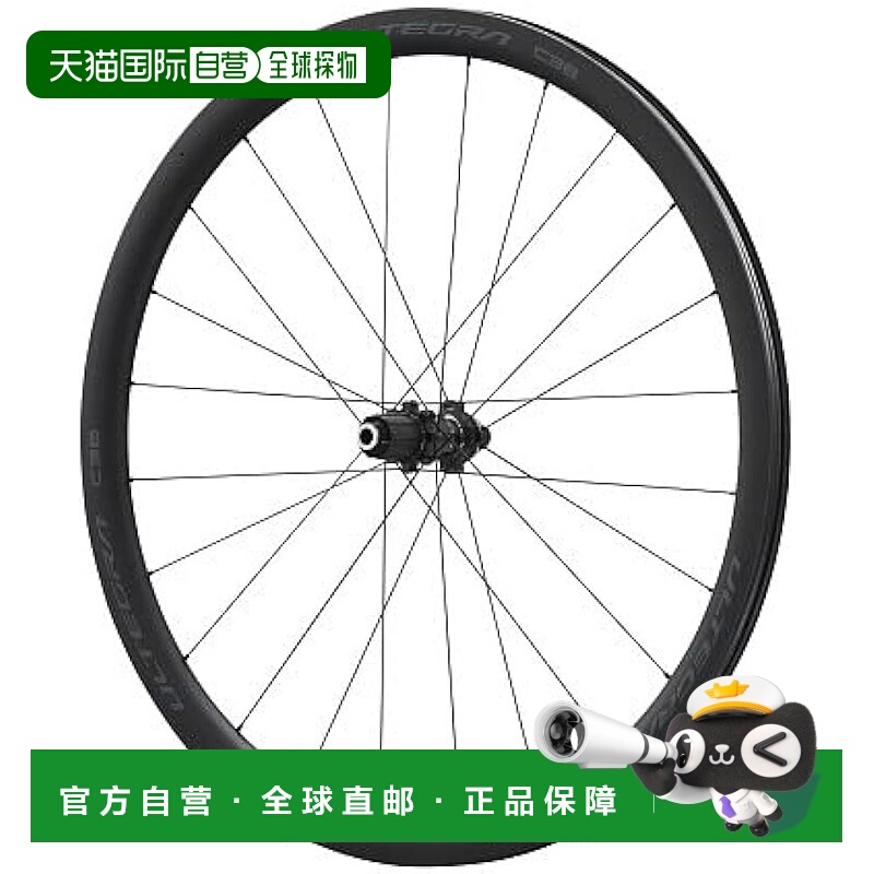 【日本直邮】禧玛诺 自行车后轮胎 无内胎和中心锁碟刹11/12s 12m