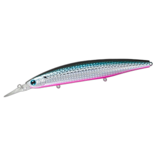 日本直邮Daiwa Lure Shoreline Shiner Z 套装 Upper 145S-DR Lat