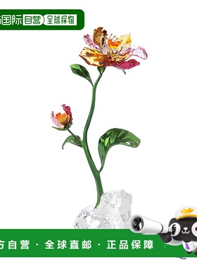 日本直邮Swarovski Flower (L) Idyllia SW5639886 23AW Swarovsk
