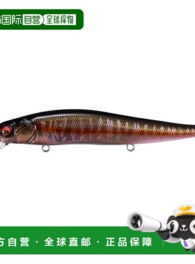 日本直邮Megabass GH110 LZ 秋季光晕