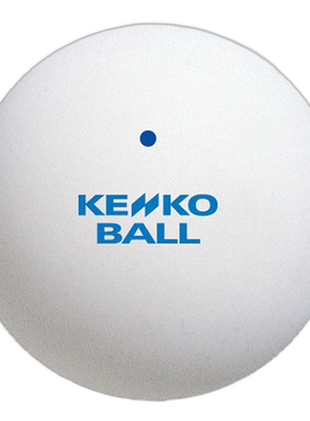 日本直邮12 件装长濑 KENKO 软式网球标准 WT 网球 TSSWV