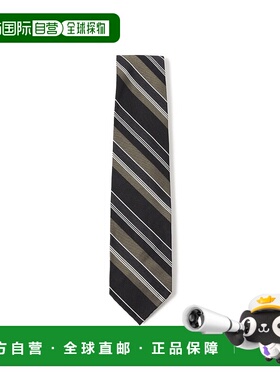 1h可退 日本直邮Francesco Marino 男士 纯真丝 多色条纹 领带 24