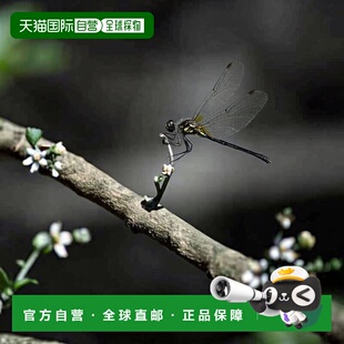 新款 grove女士项链2025秋冬季 饰品项链吊坠 日本直邮