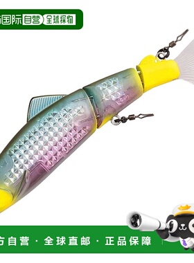 【日本直邮】达亿瓦 AYUING 联合 110S-LI 路亚 (Li Nawabari 后)