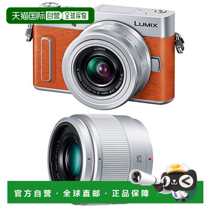松下无反光镜可换镜头相机鲁米克斯随附镜头DC-GF10W