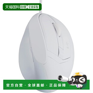 【日本直邮】Nakabayashi仲林 鼠标 Digio2 5键economic 白 Z2960