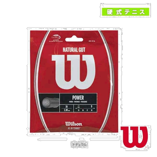 日本直邮WILSON 网球线