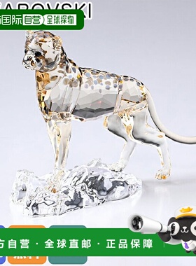 日本直邮施华洛世奇水晶雕像 非洲优雅 SCS 婴儿猎豹 Jabari 物品