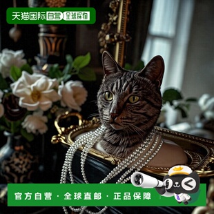 星星过敏友好耳钉 女士 DDZ1052111A0008 日本直邮DOUDOU 1h可退