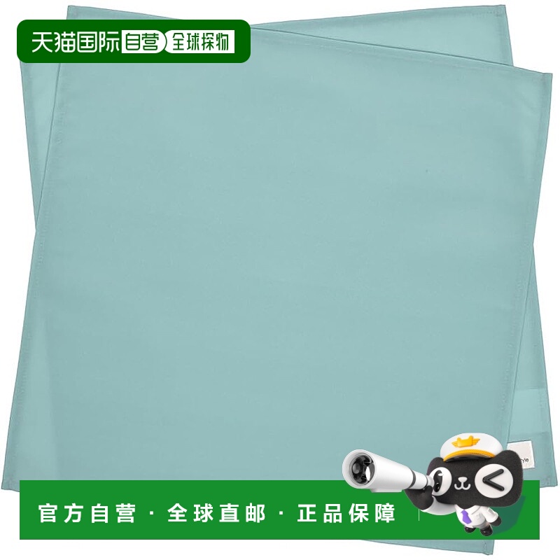 【日本直邮】CCS 男童午餐巾 防水免烫 2枚套 青绿色 NL304400