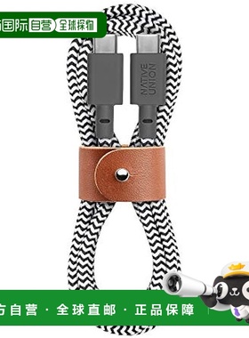 【日本直邮】Native Union USB数据线 带状电缆USB-C至USB-C 1.2m