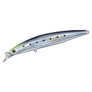 日本直邮 Daiwa Lure Shoreline Shiner Z Lunker Hunter 130F-HD