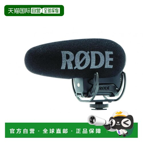 本产品插头为100V，国内使用需配置转换器。